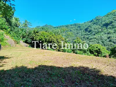 Terrain, 41 000 m²