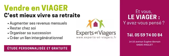EXPERTS ET VIAGERS