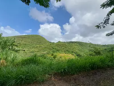 Terrain, 922 m²