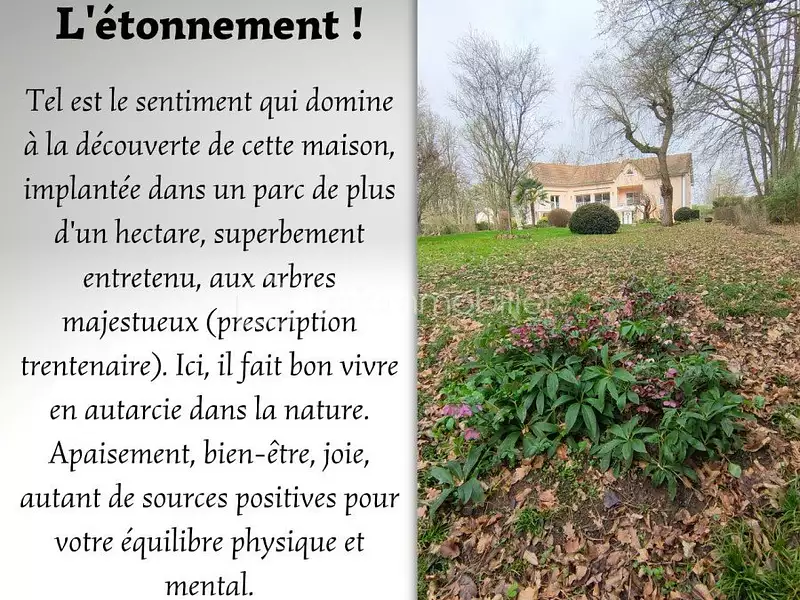Maison, 310 m²