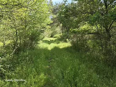 Terrain, 231 782 m²
