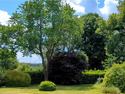 Maison, 80 m²