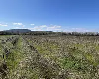 Terrain, 7 010 m²
