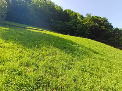 Terrain, 3 385 m²