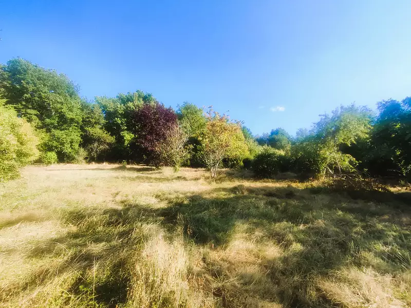 Terrain, 600 m²