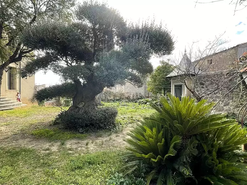 Maison, 259 m²