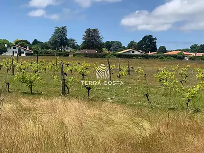 Terrain, 523 m²