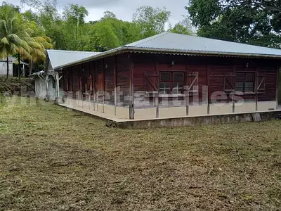 Maison, 290 m²