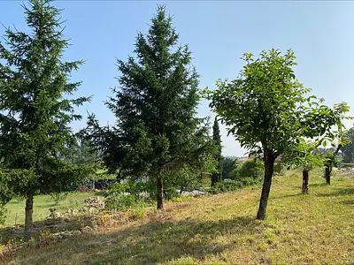 Terrain, 819 m²