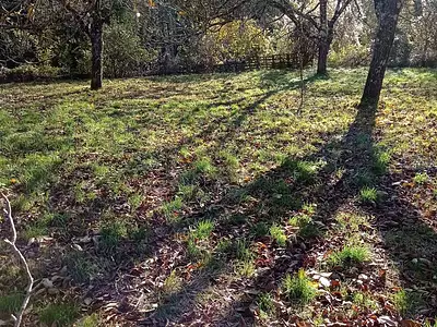 Terrain, 385 m²
