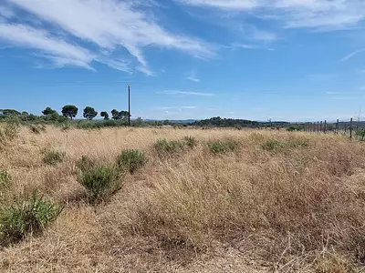 Terrain, 426 m²