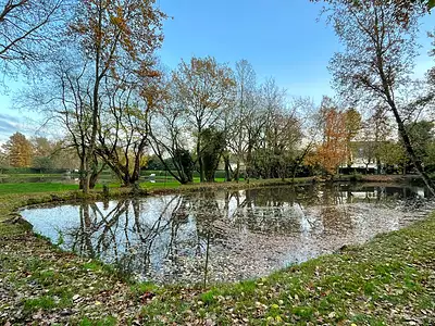 Terrain, 8 950 m²