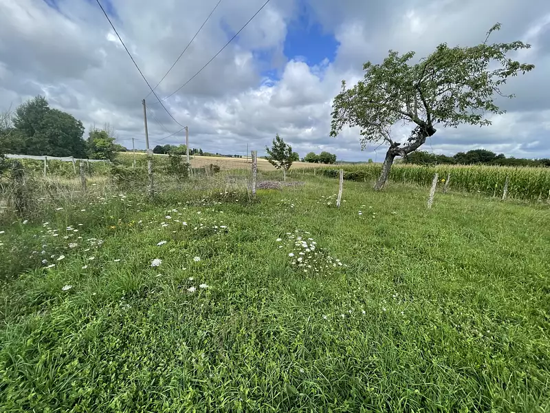 Maison, 77 m²