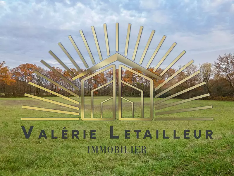 Terrain, 230 348 m²