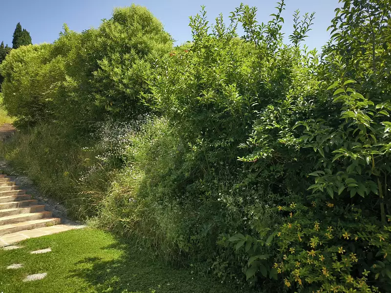 Maison, 308 m²