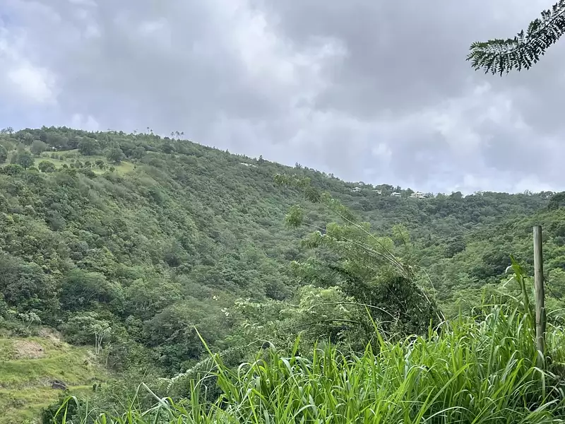 Terrain, 922 m²