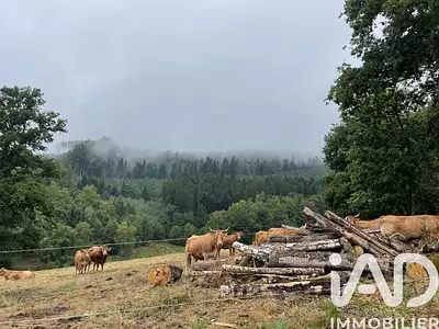 Terrain, 121 370 m²