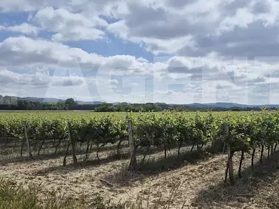 Terrain, 190 000 m²