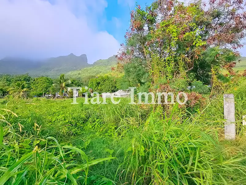 Terrain, 901 m²