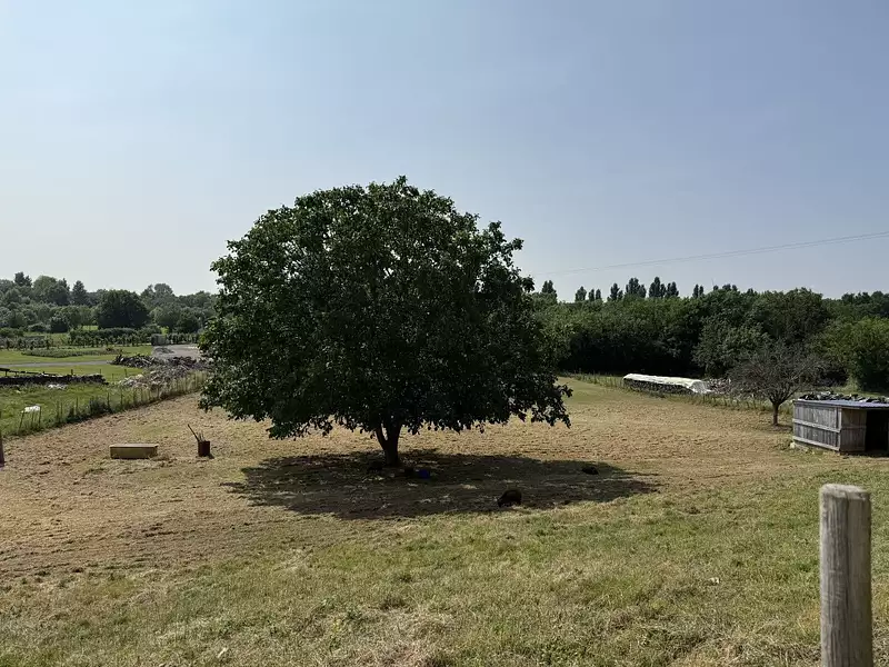 Maison, 138 m²