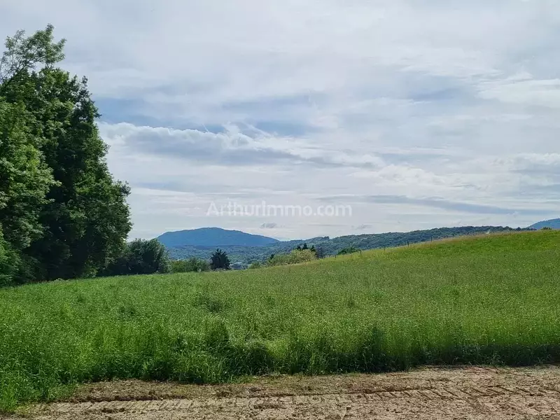 Terrain, 682 m²