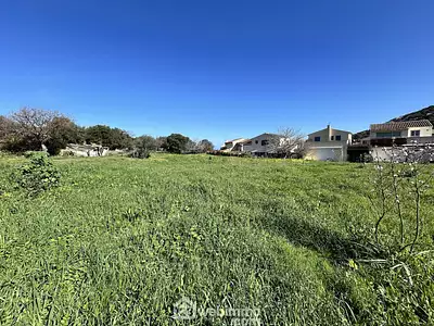 Terrain