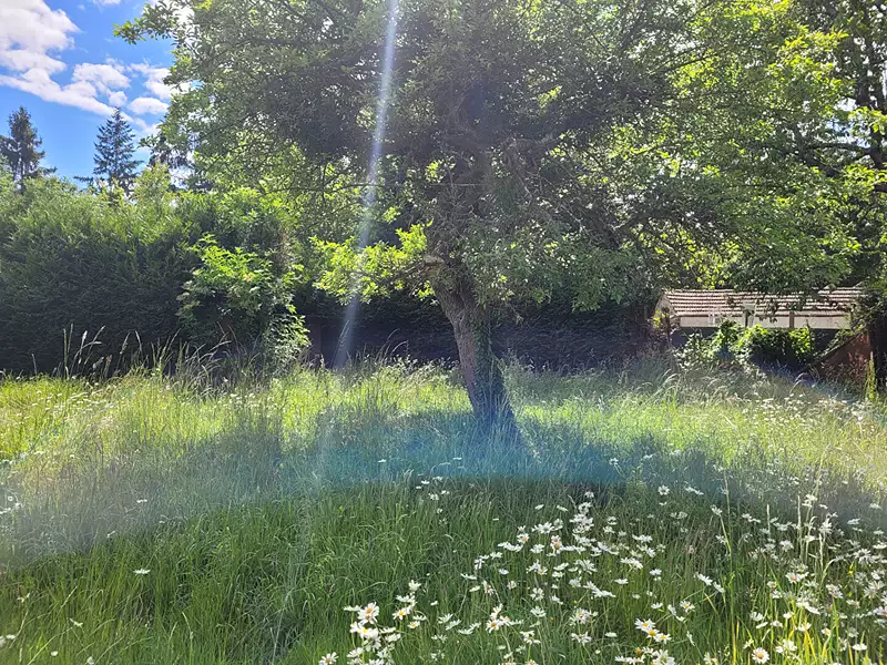 Terrain, 706 m²