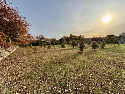 Terrain, 1 205 m²