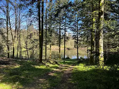 Terrain, 17 892 m²