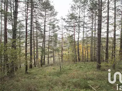 Terrain, 6 602 m²