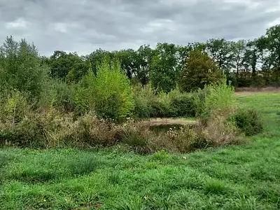 Terrain, 1 800 m²