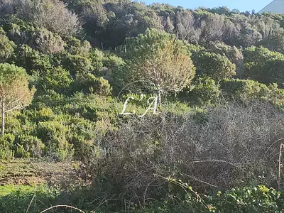 Terrain, 2 060 m²