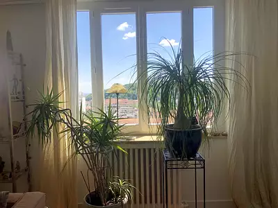 Appartement, 101,65 m²