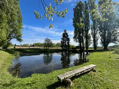 Terrain, 2 150 m²
