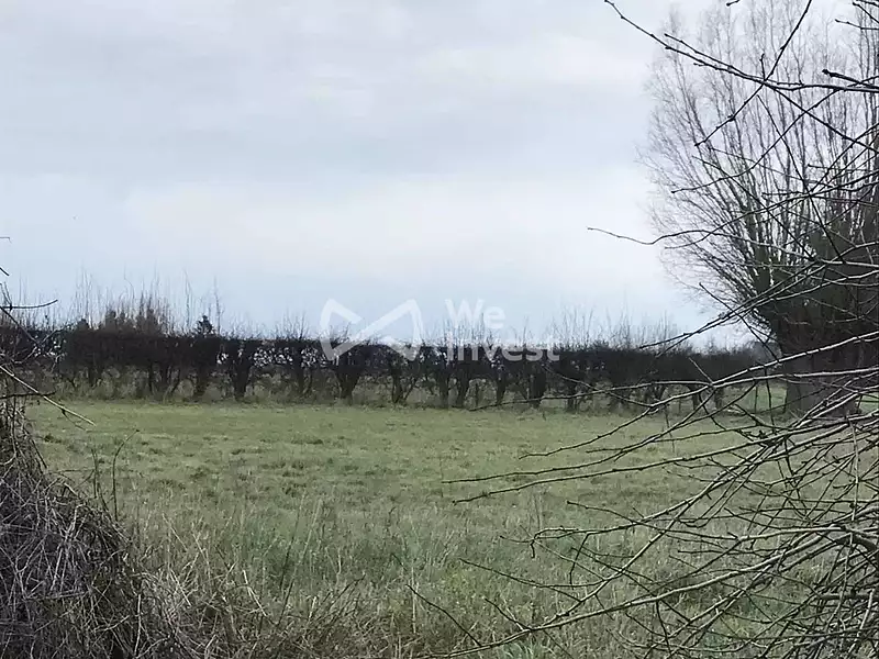 Terrain, 1 152 m²