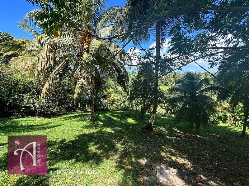 Terrain, 1 819 m²