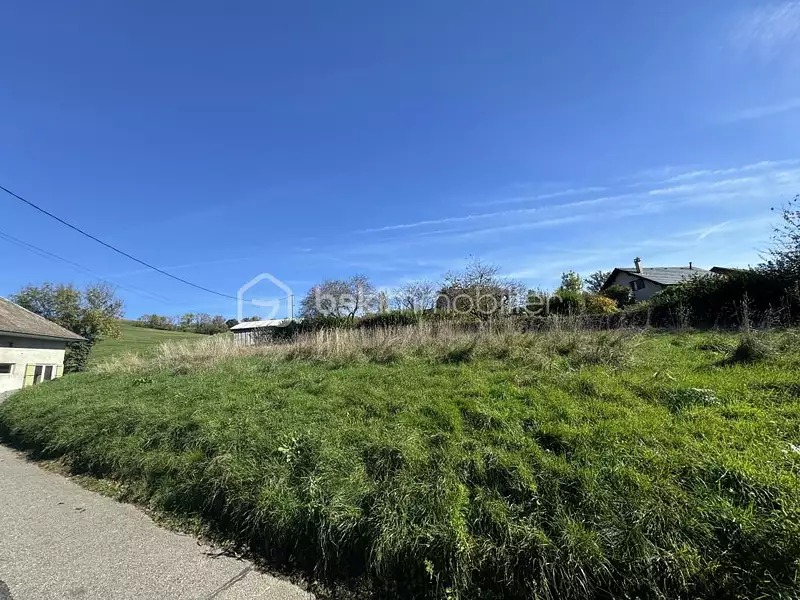 Terrain, 981 m²