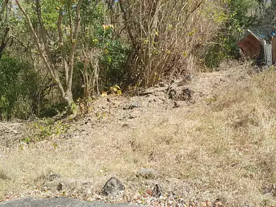 Terrain, 1 389 m²
