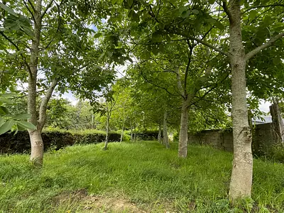 Maison, 165 m²