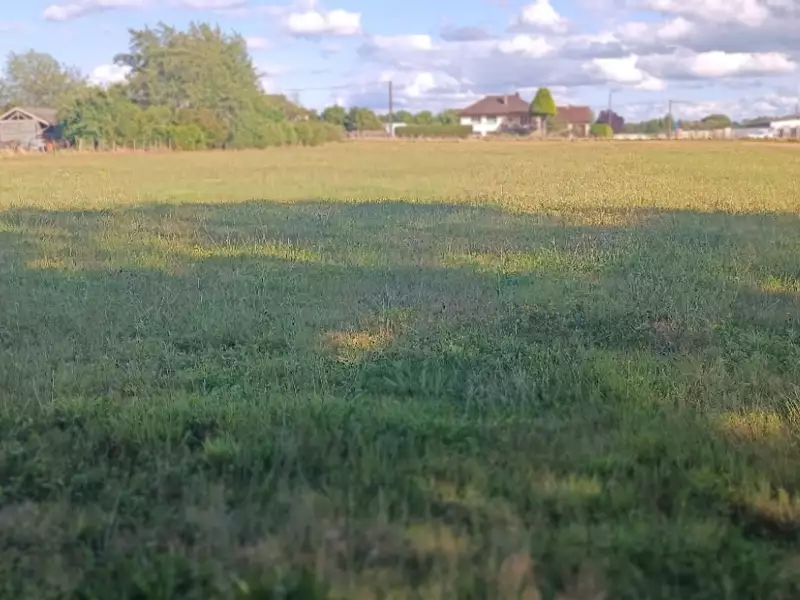 Terrain, 9 159 m²