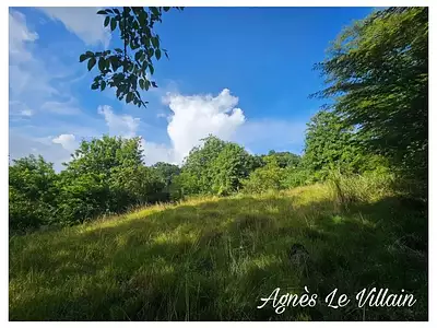 Terrain, 2 983 m²