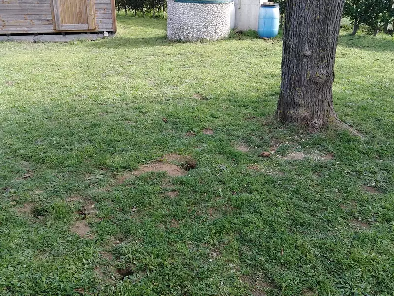 Terrain, 780 m²