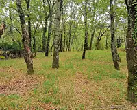 Terrain, 720 m²