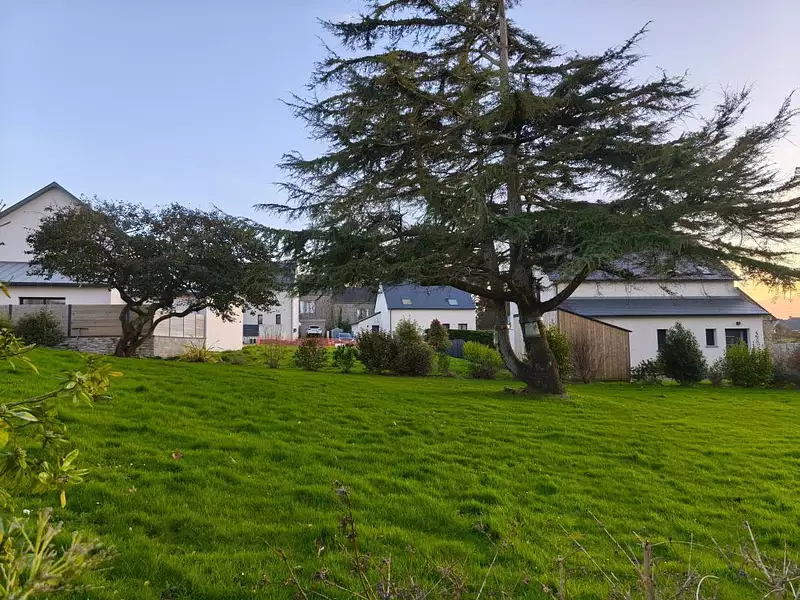 Terrain, 444 m²