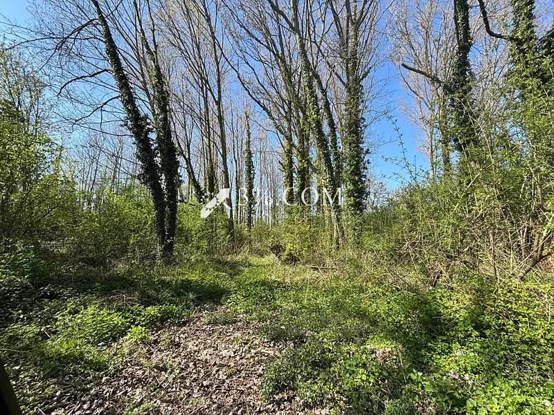 Terrain, 122 030 m²