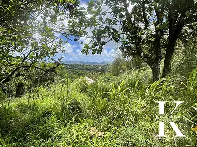 Terrain, 2 611 m²