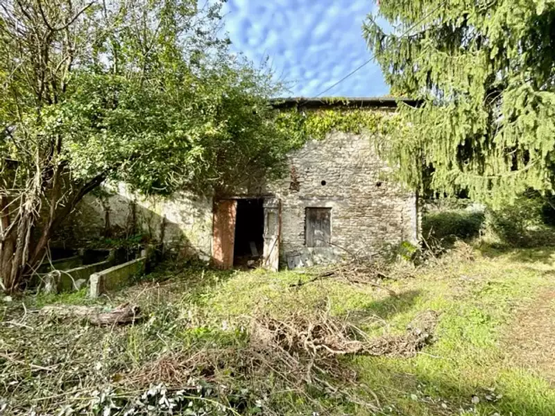 Maison, 55 m²