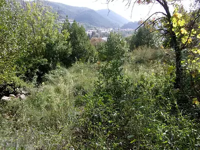 Terrain, 2 856 m²