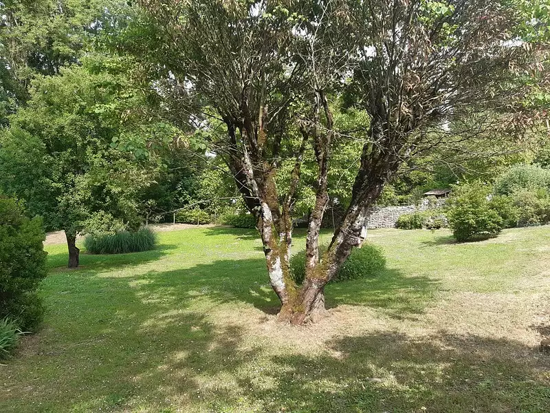 Maison, 90 m²