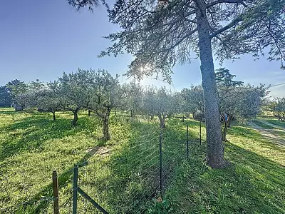 Maison, 300 m²
